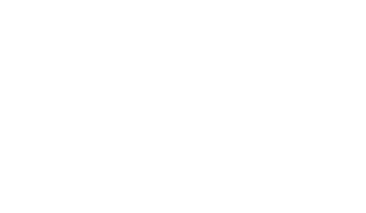 WIT Software